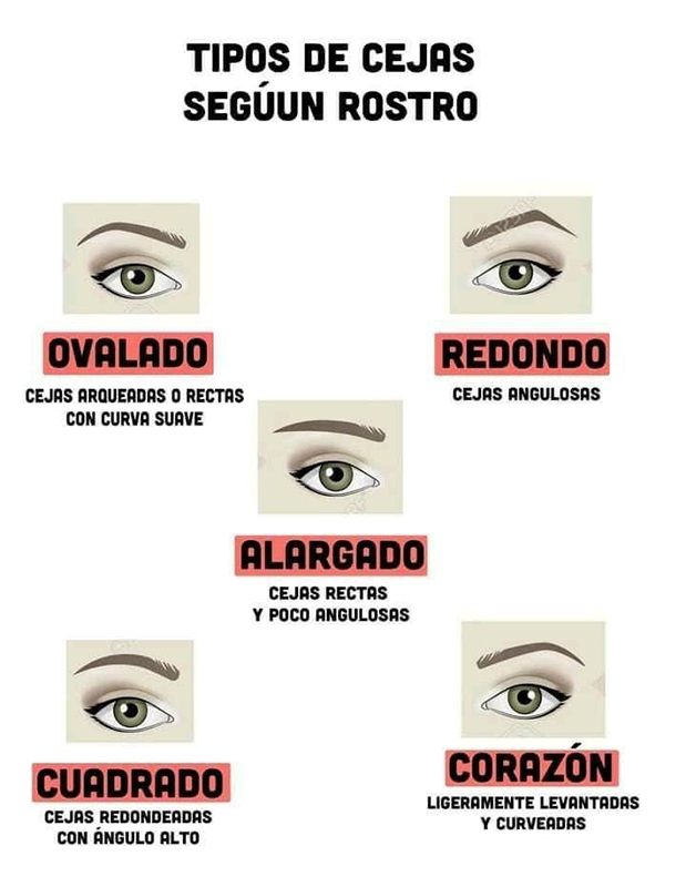 ceja ideal